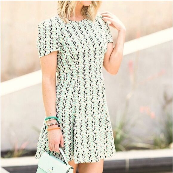 ZARA Printed Dress Green &  Black Toucan Pattern Bird Size S - Picture 1 of 11